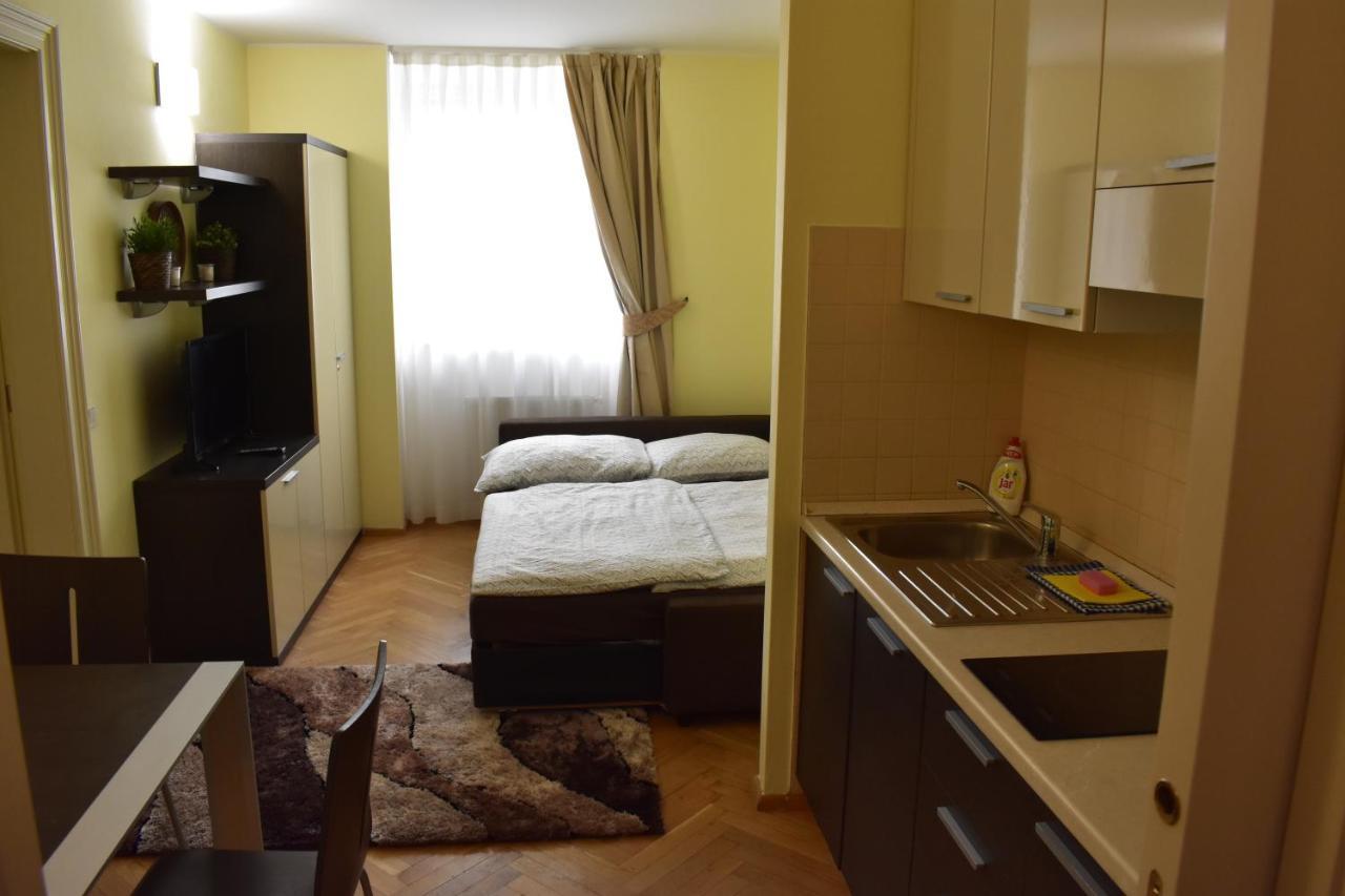 Apartment Vikroria - Halkova 5
