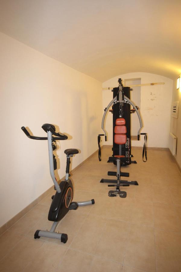 Vikroria - Halkova 5 Apartment *